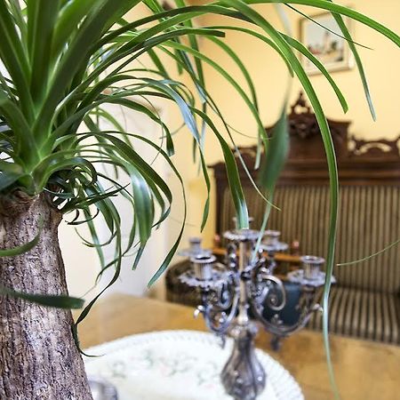Luna Apartment 诺威萨 外观 照片